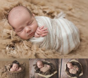 Bellevue newborn photography session