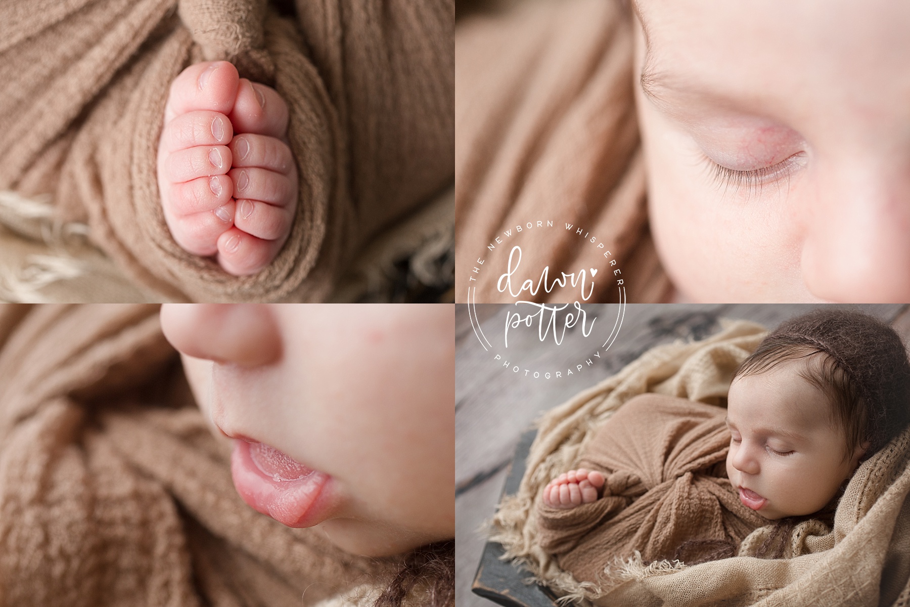 Kirkland Baby Photographer
