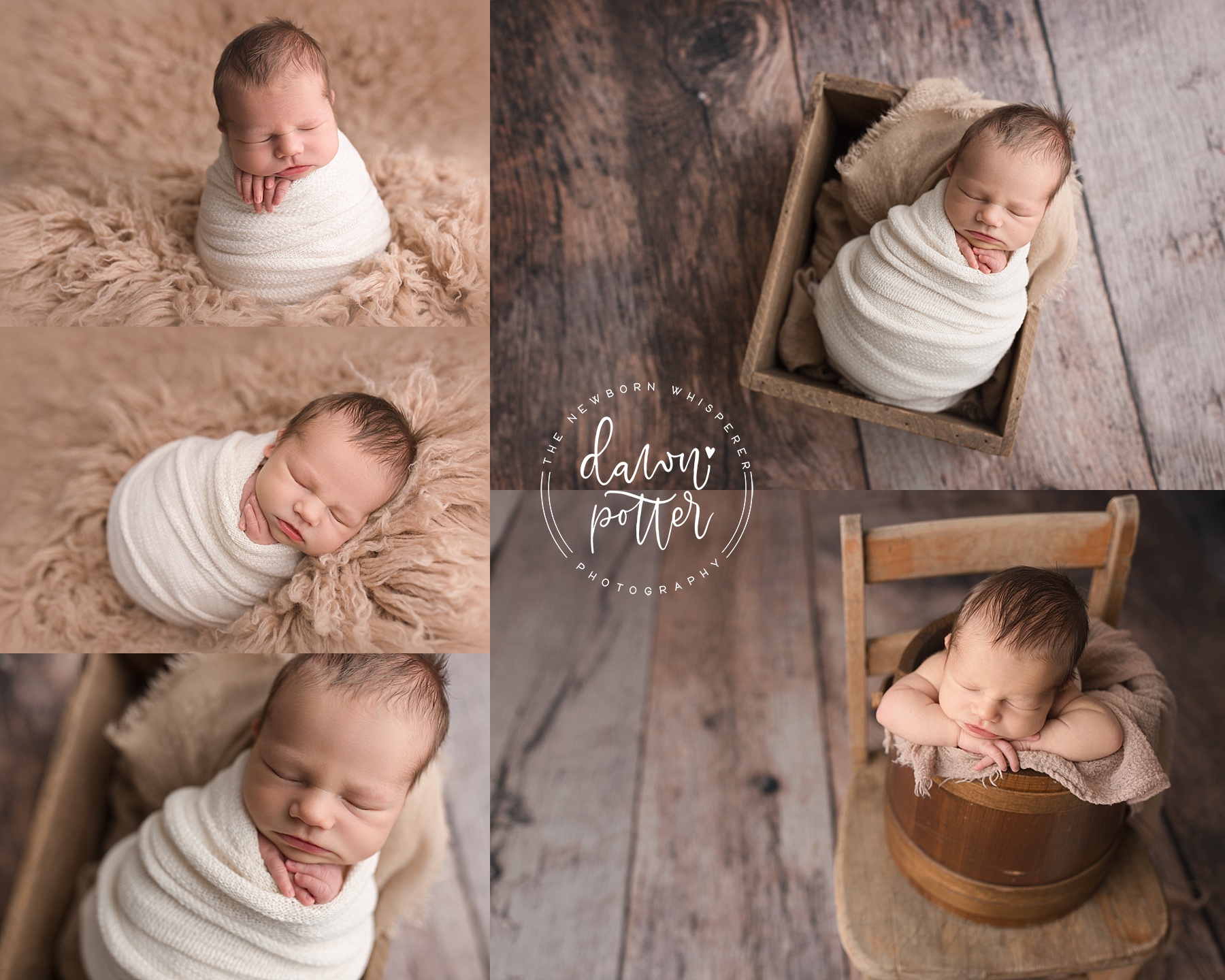 Seattle Newborn Portraits