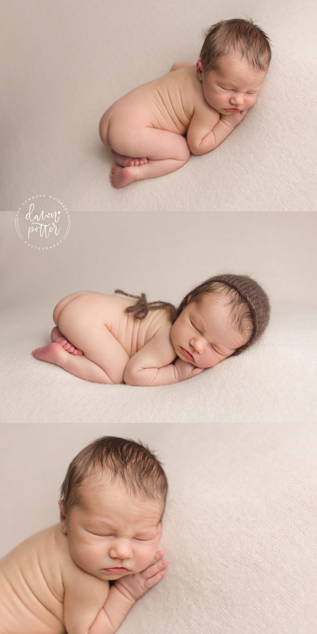Seattle Newborn Portraits