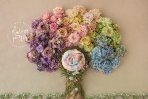 Newborn Photographer in Seattle WA