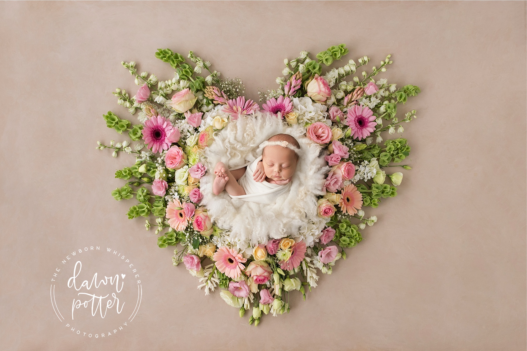 newborn photographer in seattle wa