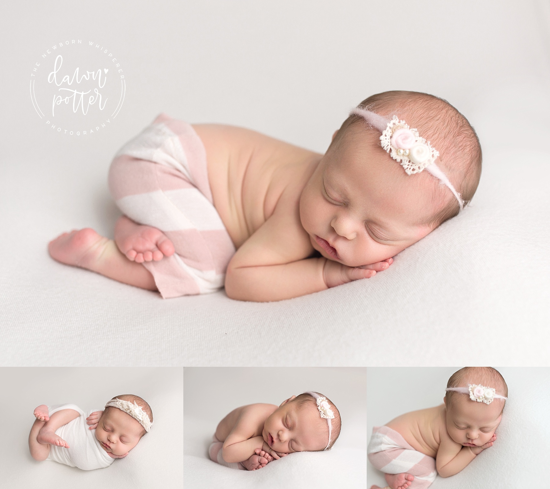 newborn photographer in seattle wa