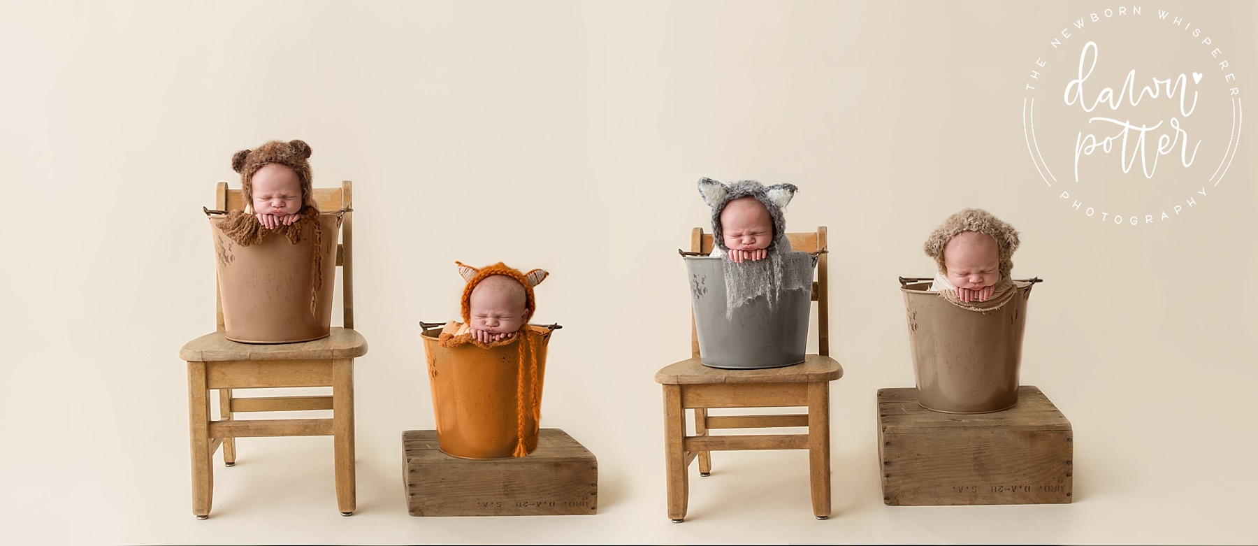 Newborn Photographer in Issaquah
