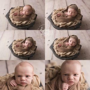 newborn photography issaquah