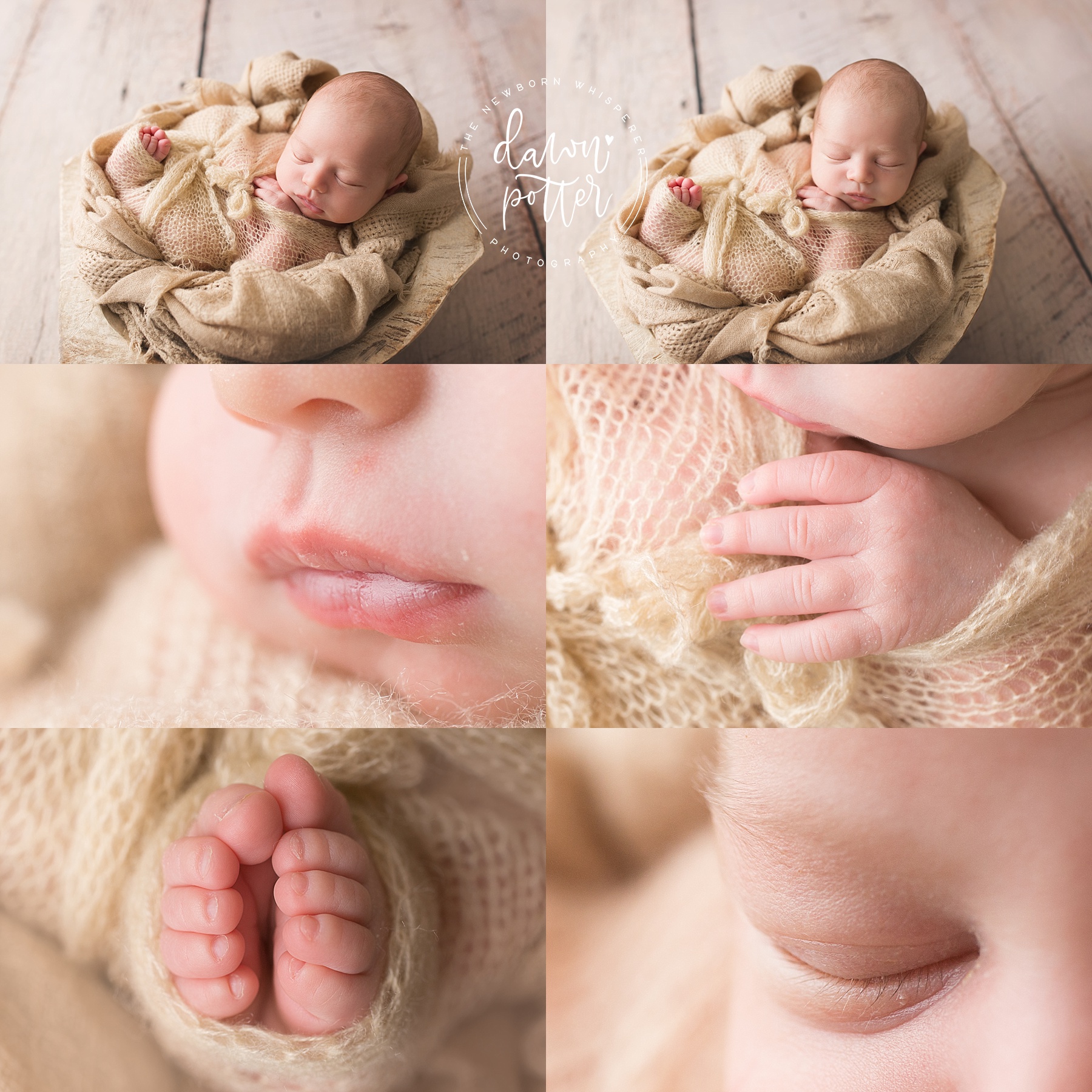 Issaquah newborn photographer_0010.jpg
