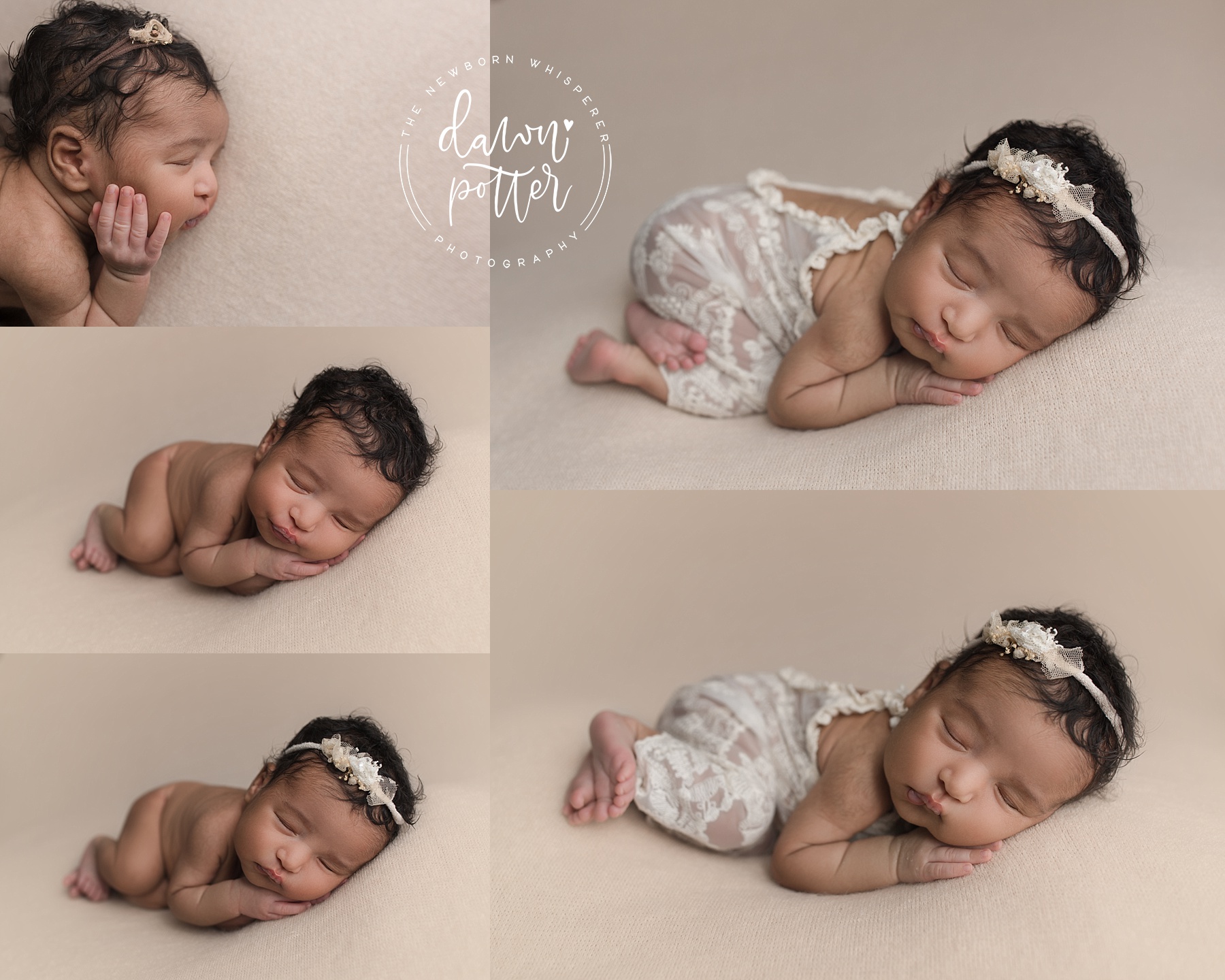 Bellevue Newborn Photography