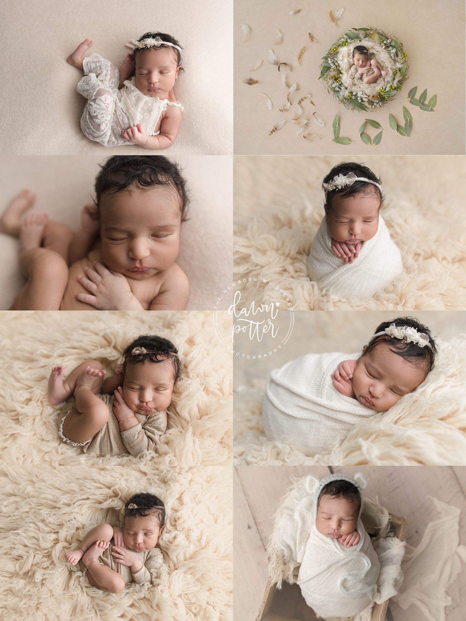 Bellevue Newborn Photography
