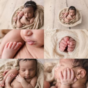 Bellevue Newborn Portrait Session