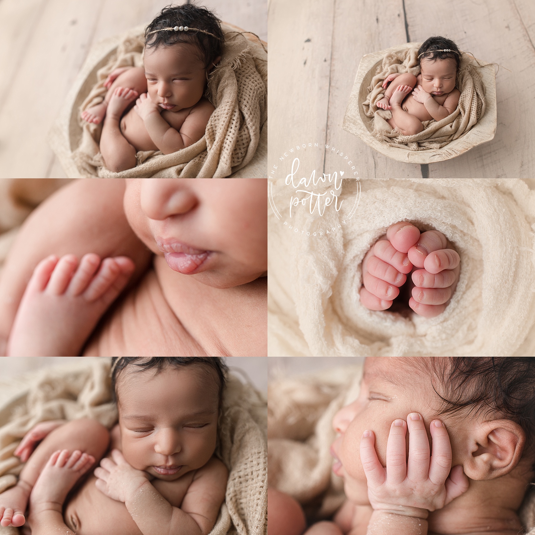 Bellevue Newborn Photography
