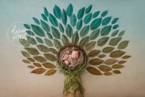 Newborn photography in Seattle WA