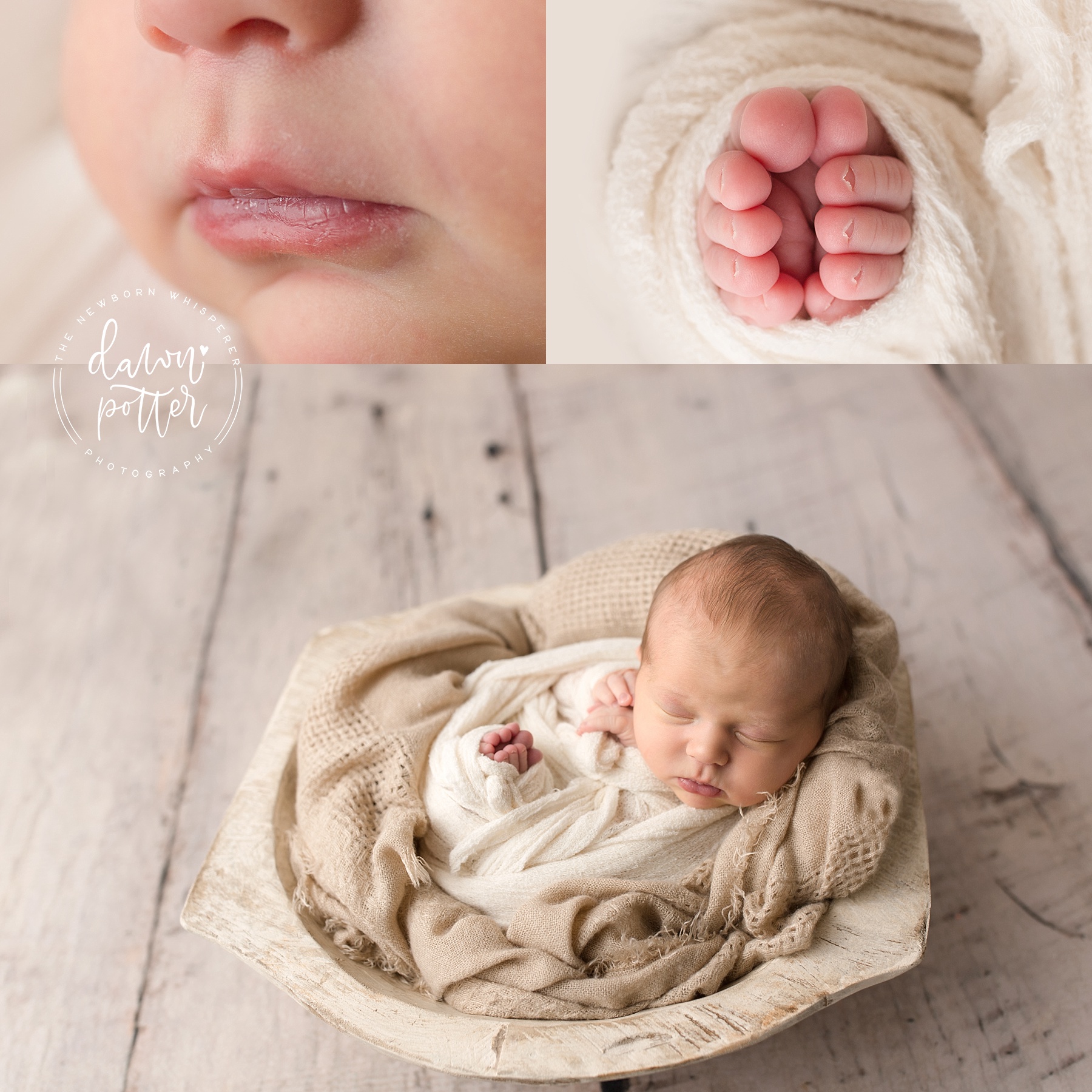 Snoqualmie newborn photographer_0027.jpg
