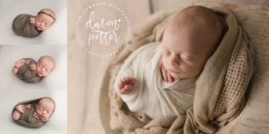 newborn photographer in Seattle