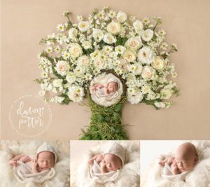Bellevue Newborn Photographer