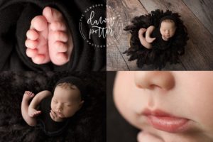 Best Newborn Photographer in Seattle