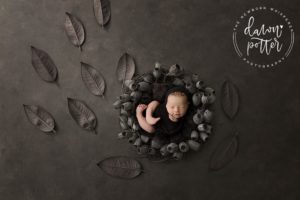 Best Newborn Photographer in Seattle