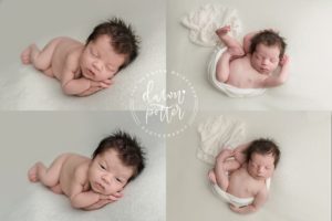 Newborn Photographer in Seattle Washington