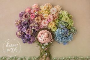 Renton Newborn Photographer