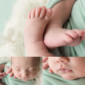Tacoma Newborn Photographer