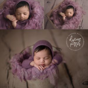 Newborn Photography Seattle