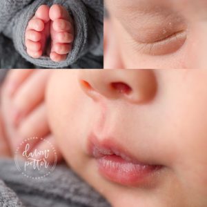 Newborn Photographer Seattle