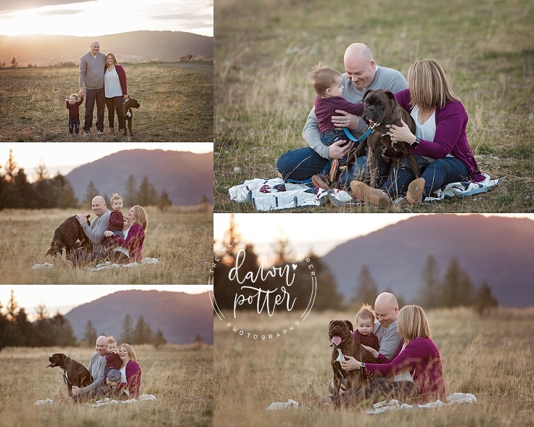 Family Photographer Seattle_0151.jpg