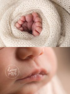 tacoma newborn photographer