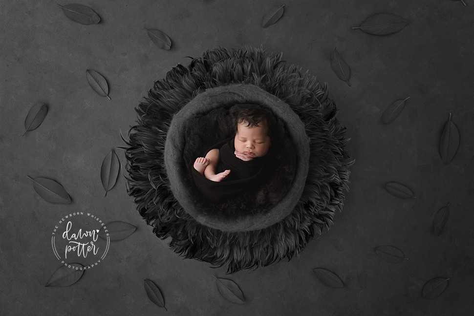 Bellevue Newborn Photographer_0174.jpg