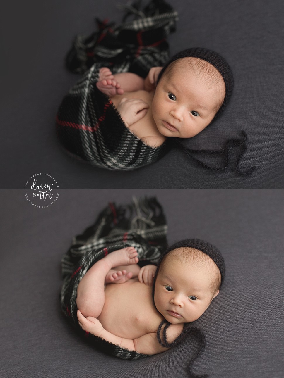 Seattle Newborn Photography
