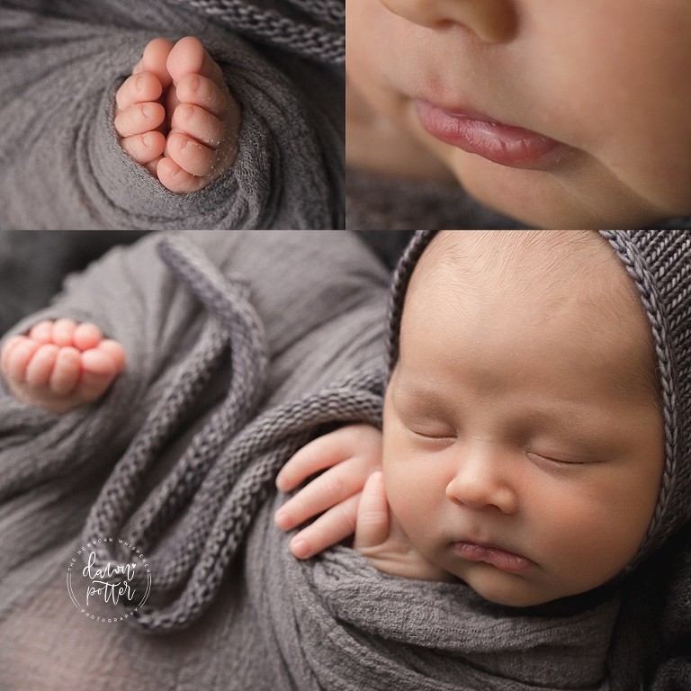 Seattle Newborn Photography