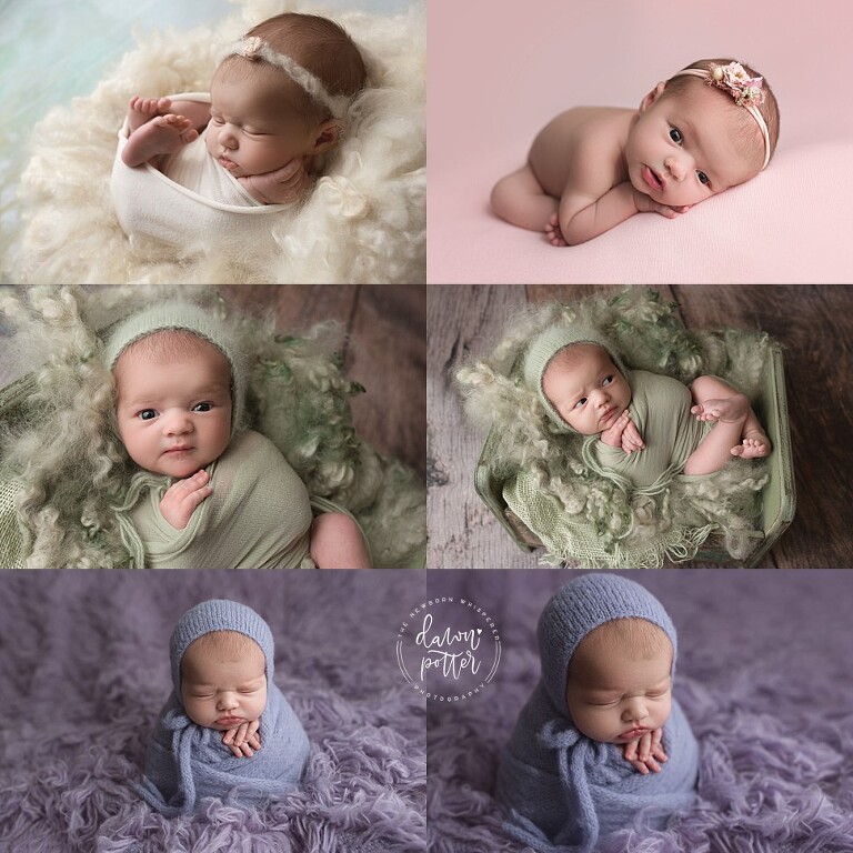 Seattle newborn photographer_0235.jpg