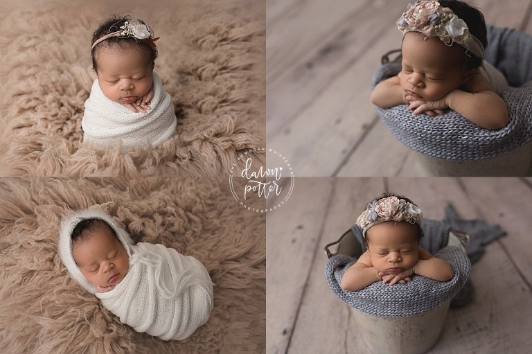 Seattle Seahawks newborn baby photographer