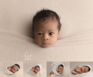 Seattle Seahawks newborn baby photographer