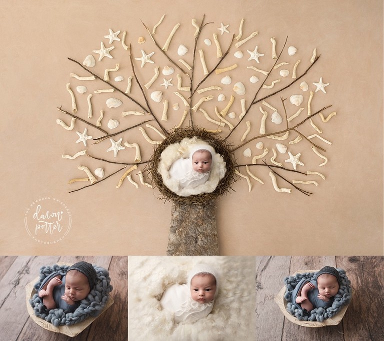 Seattle Newborn Photography