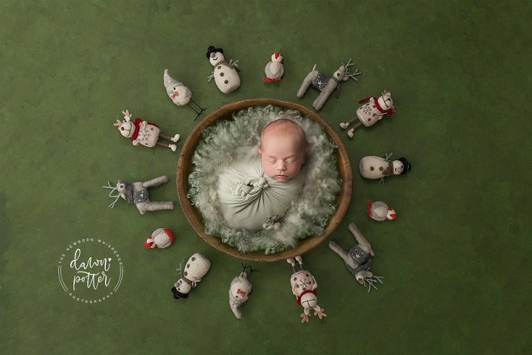 Tacoma Newborn Photographer