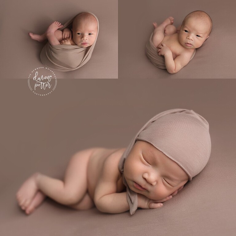 Tacoma Newborn Photographer