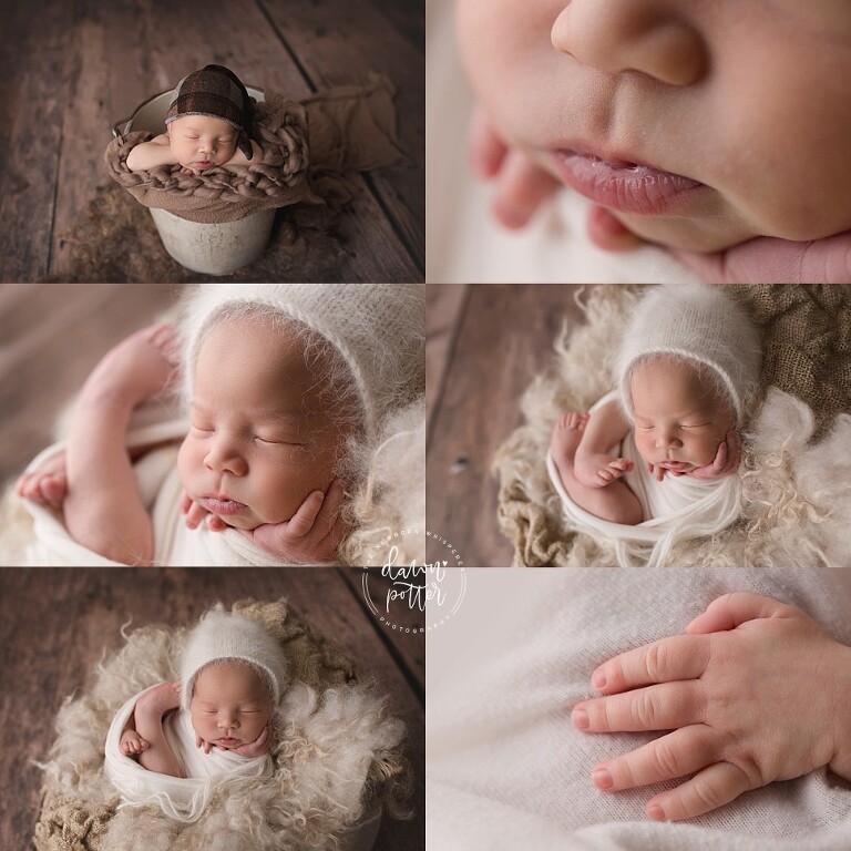 Tacoma Newborn Photographer