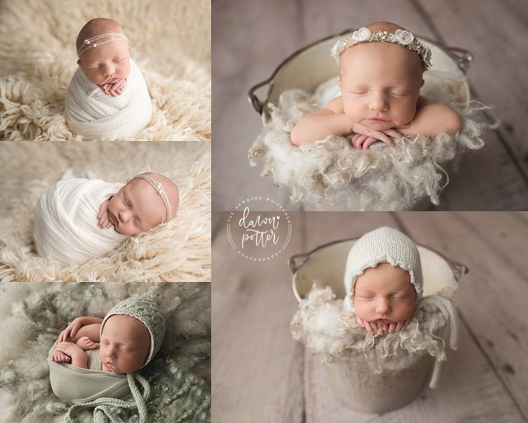 Seattle Newborn Photographer