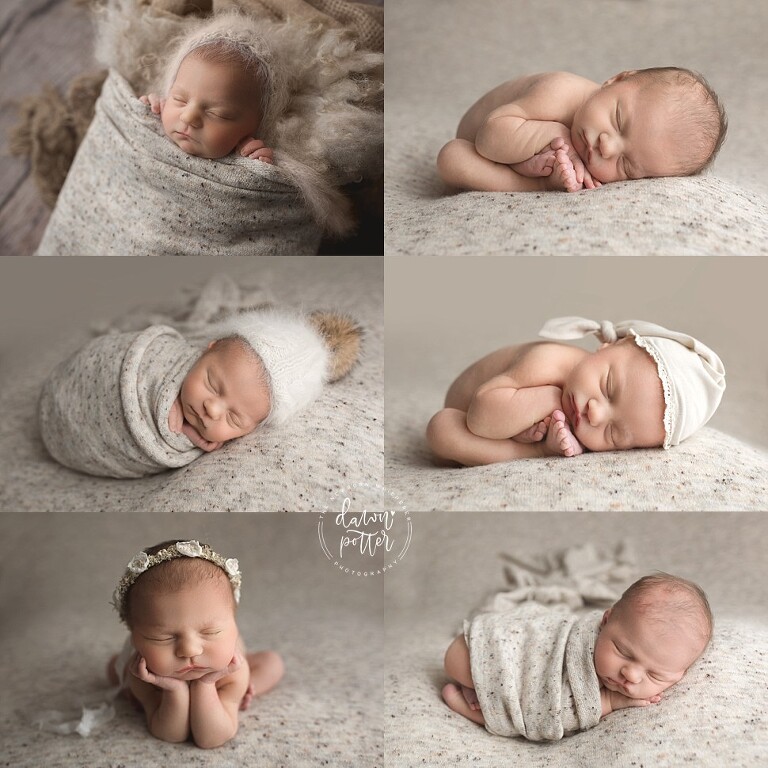 Seattle newborn photography_0369.jpg