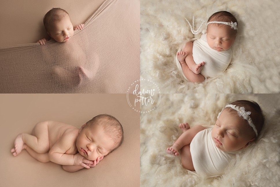 Seattle newborn photography_0370.jpg Seattle newborn photography_0370.jpg