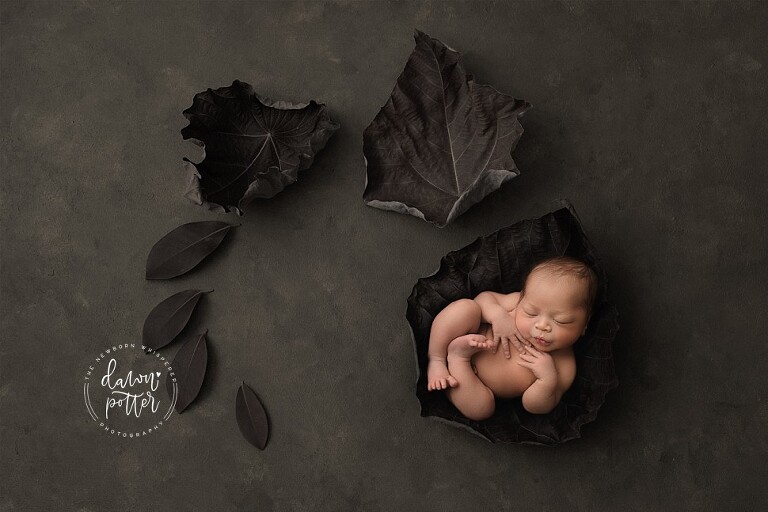 Bellevue newborn photographer_0462.jpg