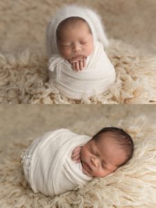 bellevue newborn photographer