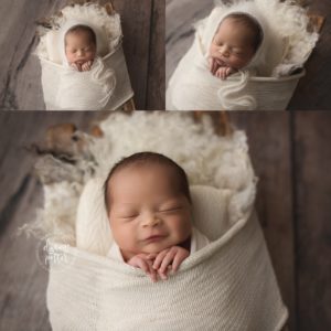 bellevue newborn photographer