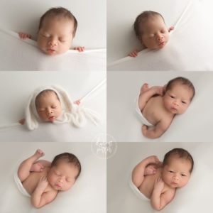 bellevue newborn photographer