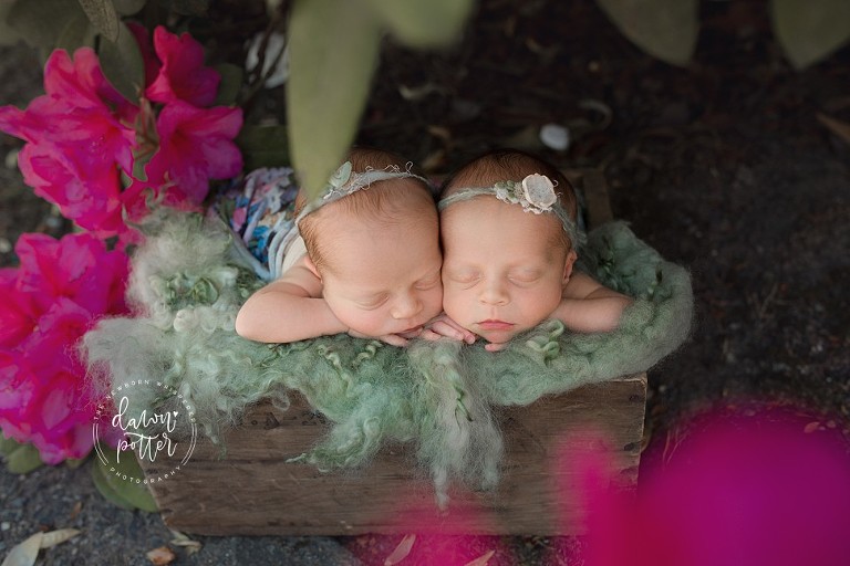 Seattle newborn twins_0426.jpg