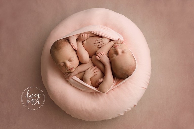 Seattle newborn twins_0427.jpg