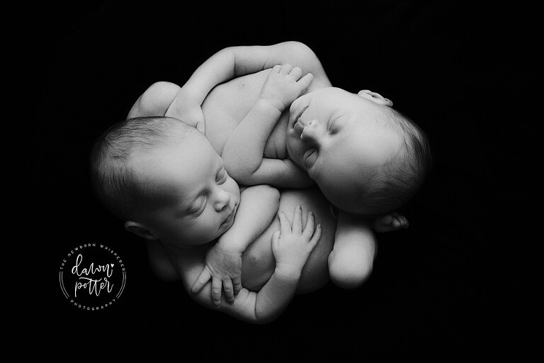 Seattle newborn twins_0428.jpg