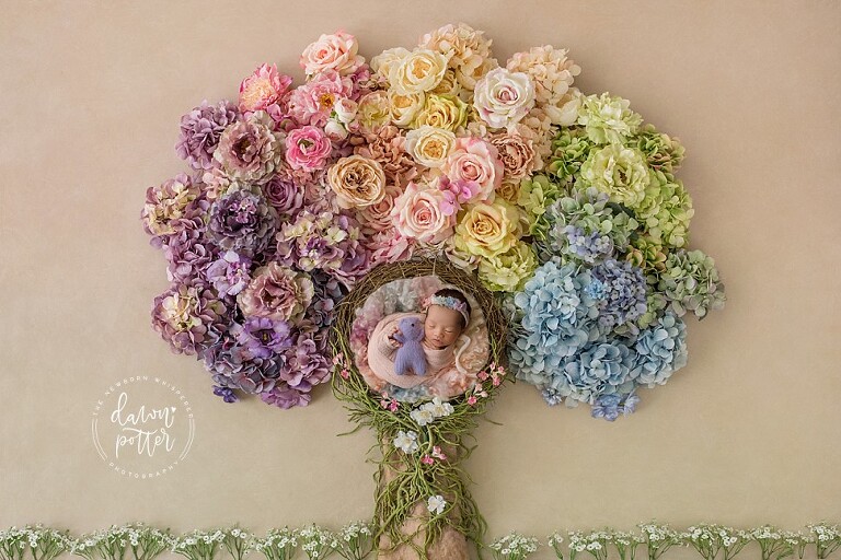 Redmond Newborn Photographer, newborn portraits Redmond WA, best newborn photography Redmond