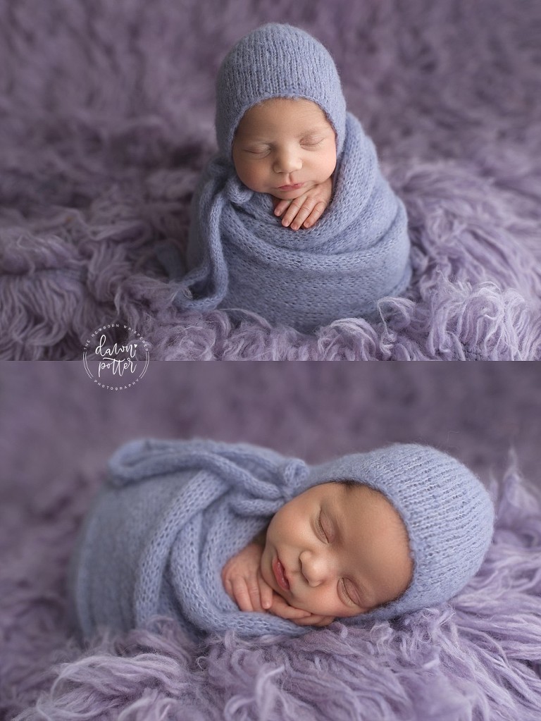 Seattle newborn photographer_0482.jpg