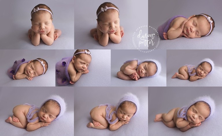 Seattle newborn photographer_0484.jpg